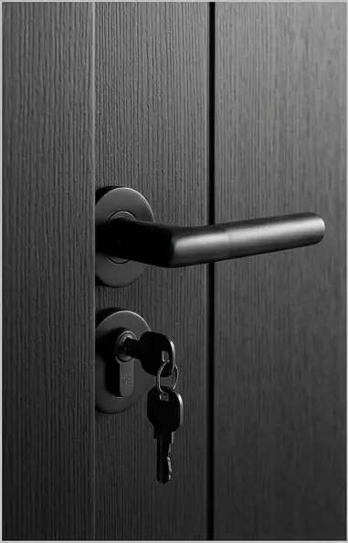 Dual-Linear-Vertical-Door_D02-(Textured-Black--Detail).webp