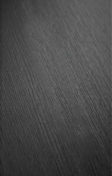 Dual-Linear-Vertical-Door_D02-(Textured-Black--Detail)2.webp